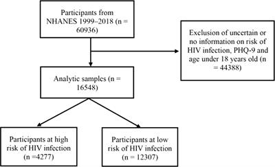 Frontiers | Association between depression and HIV infection 